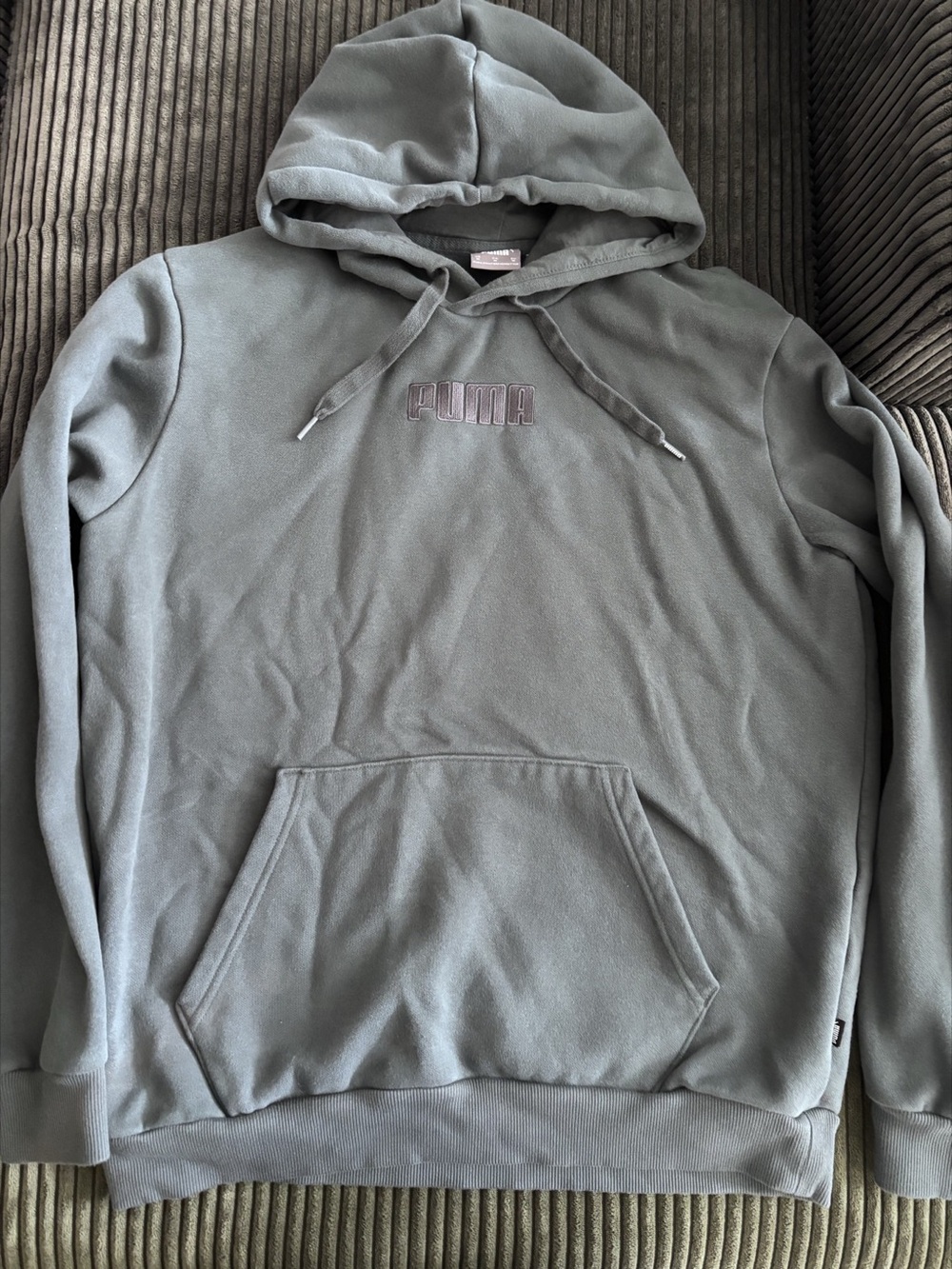 PUMA Essentials Logo Hoodie Gray Medium